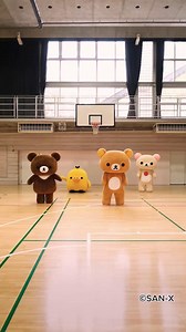 Dancing the day away with Rilakkuma & friends 🎶💛 #Rilakkuma #sanx #sanxoriginal #le_sserafim #eat_it_up_spaghetti | San-X Global