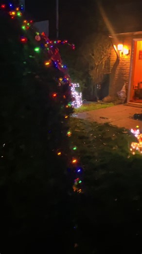 Outside Christmas tree complete. It’s taken 15 years of growing to have such a beautiful tree.