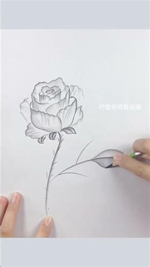 Learn Drawing: Start with Basics - Simple Steps for Beginners