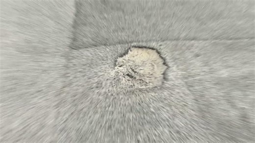 How Do We Repair Potholes? | Potholes Australia