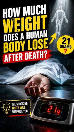 💀 Death Weight Mystery! #facts #shortvideo