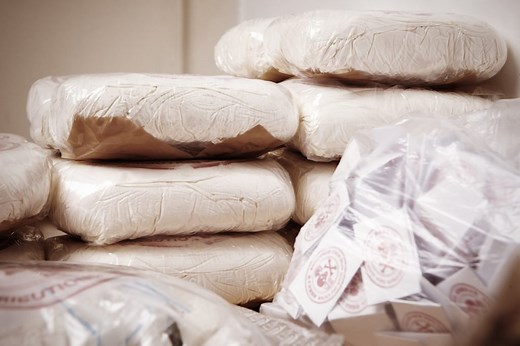 § 11351 HS - Possession For Sale of Controlled Substance