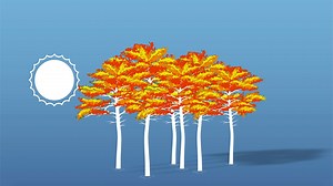 Weather Explained: Why do leaves change color