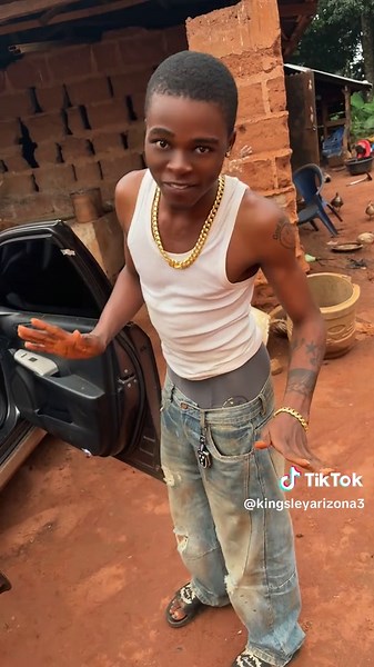 Understanding Kingsley: Insights from Arizona