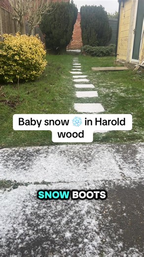 Baby snow has arrived ❄️ The first little flakes of the season are falling—soft, quiet, and full of promise. Winter is saying hello. #FirstSnow #SnowDay #WinterWonder #NatureMagic #SnowSeason