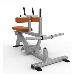 [Hot Item] Excellent Nautilus Exercise Equipment for Seated Calf (SW-2012)