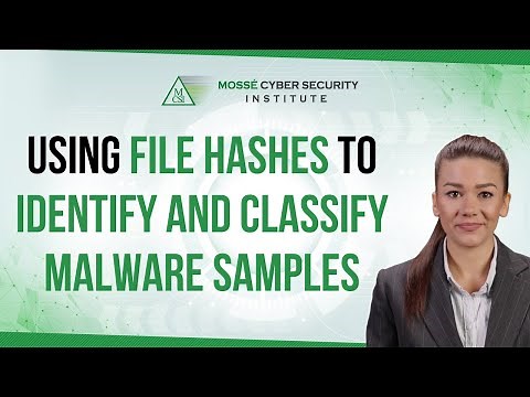 Using file hashes to identify and classify malware samples
