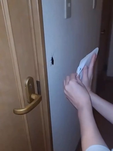 Beneficios de Upper para Compras Internacionales