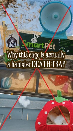 ​Why this hamster cage is actually a DEATH TRAP 🐹💔 (Ginger’s Story) #heartbreaking