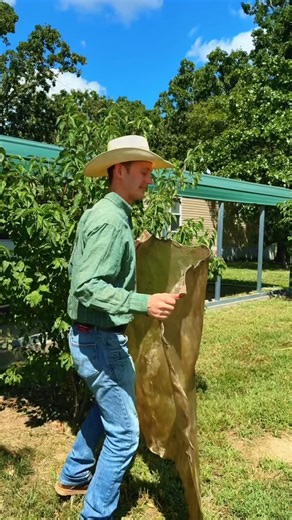 861K views · 21K reactions | Turning rawhide into strings for braiding #leathercraft #leatherwork #leatherworking #leathercrafts #leathercrafting #craft | Scott Gore Rawhide | Facebook
