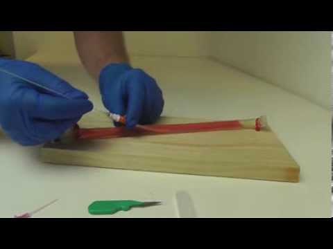 How to save a life with a 20G IV