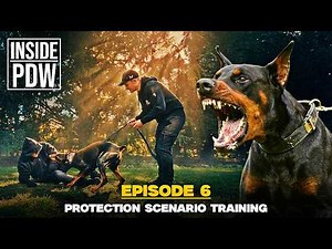Protection Scenario Training | INSIDE PDW Episode 6
