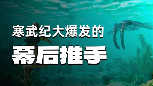 奇虾：5 亿年前的海洋霸主，地球的初代海洋帝王