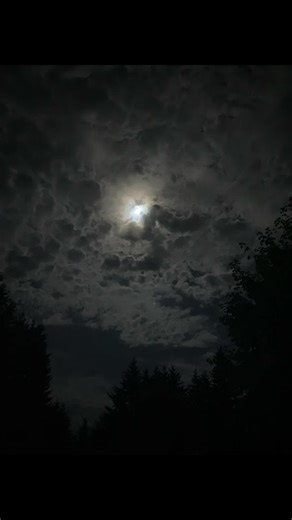 Codexx (@..codexx)’s videos with original sound - 𝐎𝐧𝐥𝐲𝐒𝐨𝐧𝐠𝐬