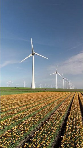 This is Netherlands!