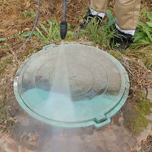 39K views · 66 reactions | Green Bean on Reels | Facebook