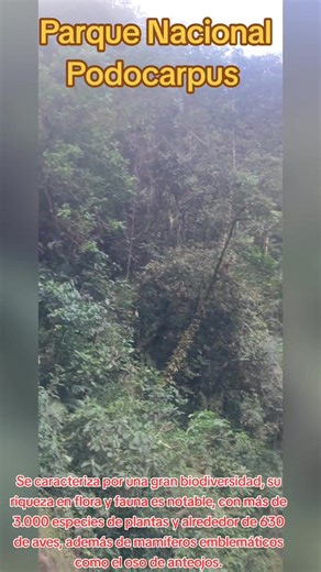 PARQUE NACIONAL PODOCARPUS | Jorge Patricio Muñoz