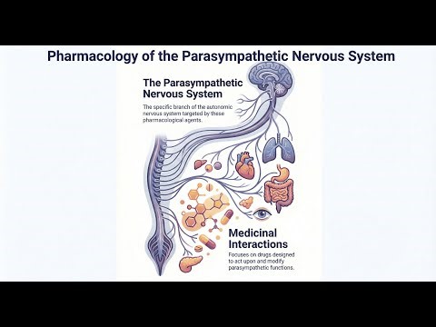 Simple Pharmacology For Nursing and Applied Health Sciences (4): Cholinergic drugs