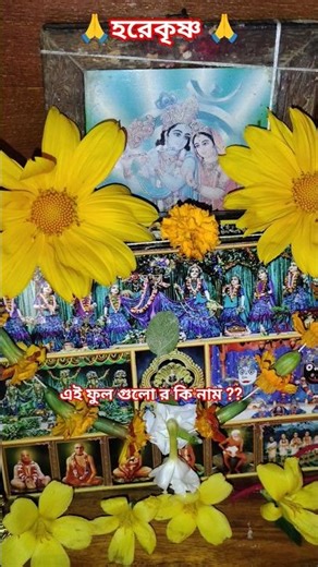 Queen Meera Bai Gauranga Gosai #Harinama_Sankirtan #Joy Radhamadhav 🙏🙏