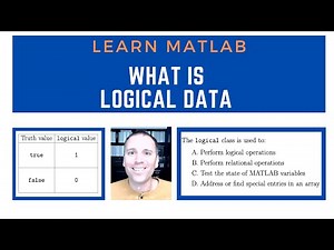 What is logical data