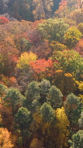 Put NYBG at the top of your fall bucket list! 🍂Colorful pumpkins in all shapes & sizes 🍂250 acres of seasonal beauty 🍂Pumpkin carving demos 🍂 Festive seasonal treats, décor, and merch | New York Botanical Garden