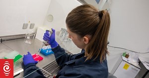 Behind the scenes at a lab meat factory in Auckland