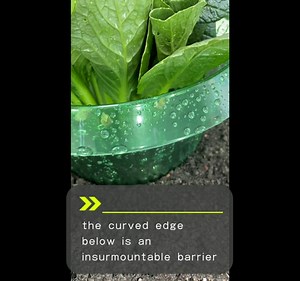 Fshow Garden Cloches，15 Pack Plastic Slug & Snail Plant Protection Collars,Snail Defense Without Chemistry, Snail Collar Protects Plants to Get Better. (Emerald Green)