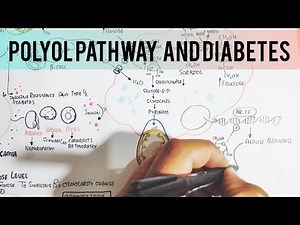 Polyol Pathway (sorbitol) And Diabetes Complications (Diabetic Sorbitol)