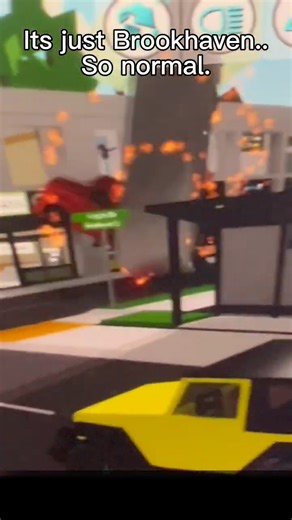 #brookhaven #brookhavenrp #funny #roblox