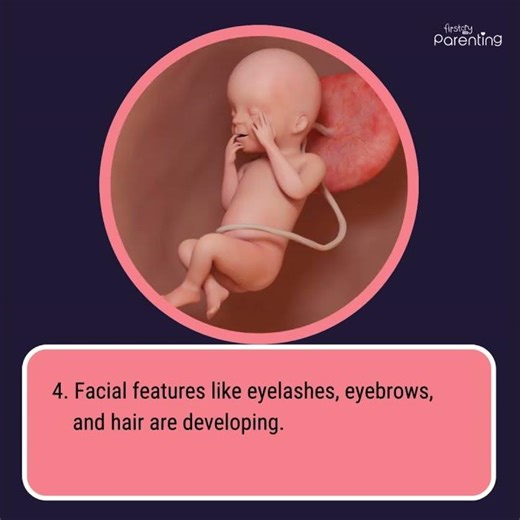 6 Months Pregnant Baby Development | 6 Month Pregnancy Baby Movement | 6 Month Pregnant