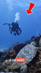 A scooter designed for underwater use An underwater scooter lets you...