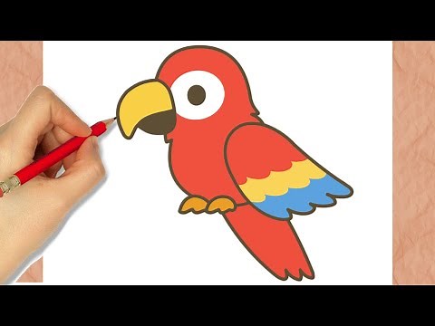 How to Draw a Cute Macaw