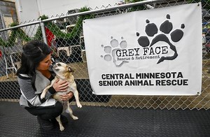 Sit, stay, stand out: Here's how Grey Face founder finds niche in dog rescue world
