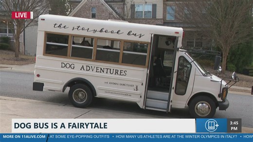 Dog bus brings pups together for play dates