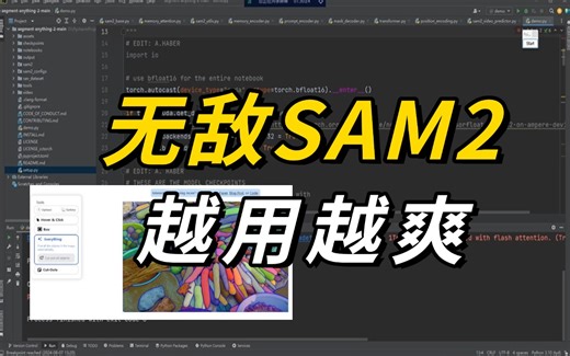计算机视觉最强模型！SAM-2分割一切模型，同济大佬三小时保姆式教学，从零到一带读论文及复现代码！