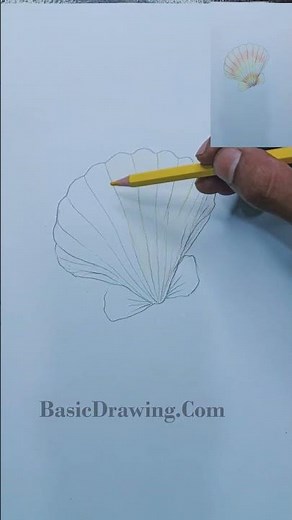 seashells drawing ideas step by step video