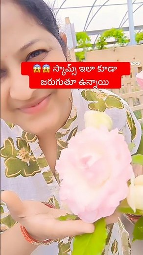 Climbing Rose Seeds #gardening #gardeningtips#how to #tips#ytshorts