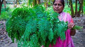 Sojina Sak (Drumstick Spinach) Fried | Village Food Life