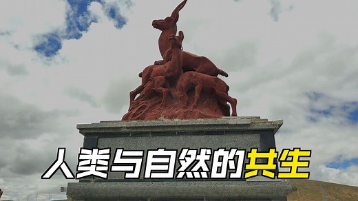 《青藏高原的无人区 —— 青海可可西里》【世界遗产第59期】