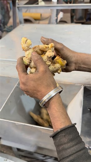 Japleen Singh on Instagram: "Multipurpose ginger slice cutter machine 📲 +91 90985 87992"