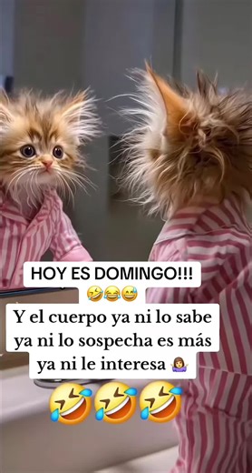 Humorous Sunday Moments That Make You Laugh