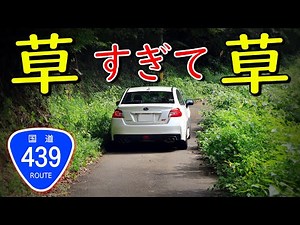 【酷道/衝撃のジャングル国道＆二度も町道に敗北する国道】国道439号 part 4【梼原町/津野町】【日本三大酷道ヨサクで四国横断の旅】
