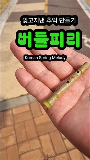 잊혀진 작은추억을 부르는 봄의 멜로디, 버들피리 소리