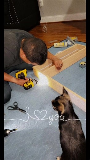 LONG STORY SHORT.. Since the pandemic started, this is the 1st time ever my hubby & I had COVID 😫💔. So while we at home he decided to build me a wood shelve display for a collection I have.... Best Handyman Ever ❤️🥰 #fyp #craftsman #craft #woodidea #homeideas🏡 #mylove #hubbywifeylove #covid #foryoupage
