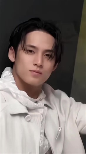 Kim Mingyu of Seventeen: A Closer Look
