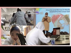 med school vlog: my first week of f2f classes || st. luke's college of medicine
