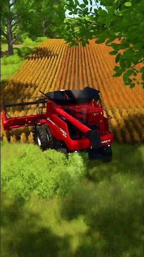Harvesting sorghum with CASE IH Axial-Flow 7150 | New American | Farming Simulator 25