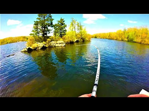 Bass Fishing in Connecticut! (Bass+Crappie+pickerel)