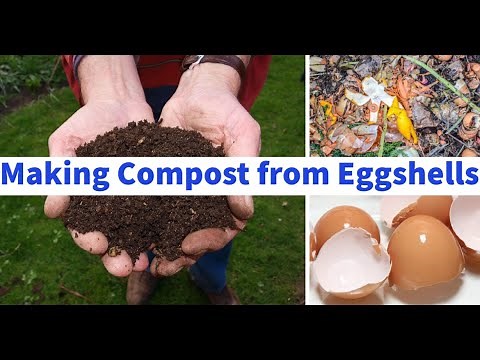 How to Make Compost from Eggshells