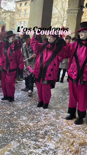 #carnavale #limoux #2026